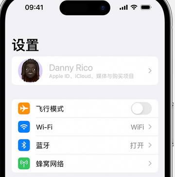 凤岗镇appleID维修服务iPhone设置中Apple ID显示为灰色无法使用