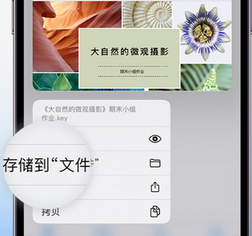 凤岗镇apple维修中心分享iPhone文件应用中存储和找到下载文件