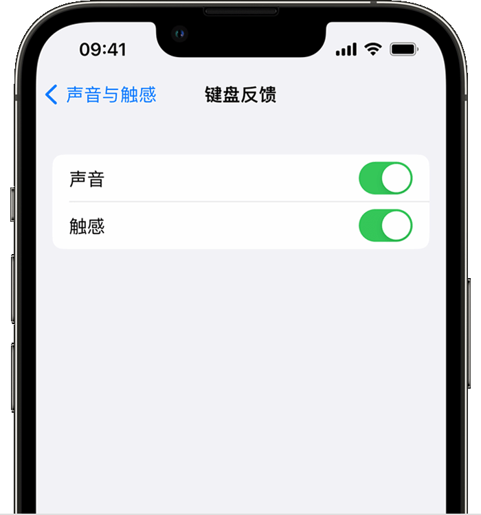 凤岗镇苹果14维修店分享如何在 iPhone 14 机型中使用触感键盘 