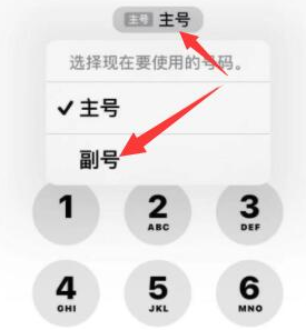 凤岗镇苹果14维修店分享iPhone 14 Pro Max使用副卡打电话的方法 