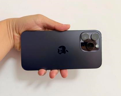 凤岗镇苹果维修点分享iPhone 14 Pro Max发烫多重诱因剖析 